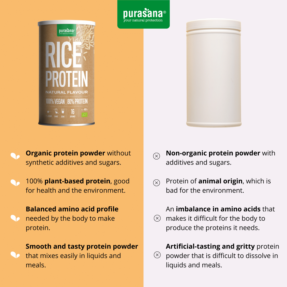 Vegan protein 80% rice natural 400 g BIO