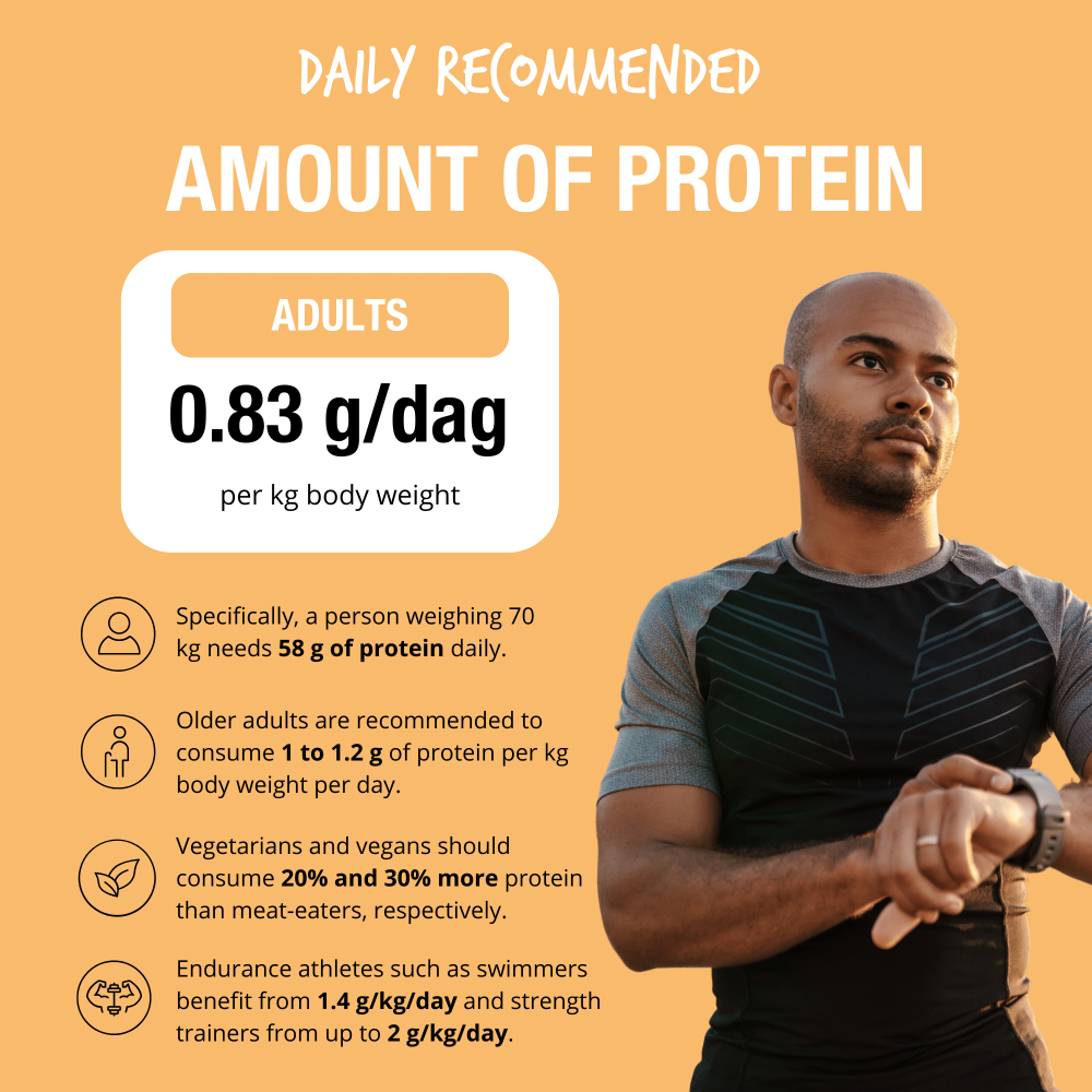 Vegan protein 80% rice natural 400 g BIO