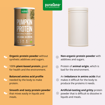 Vegan protein 65% pumpkin natural 400 g BIO